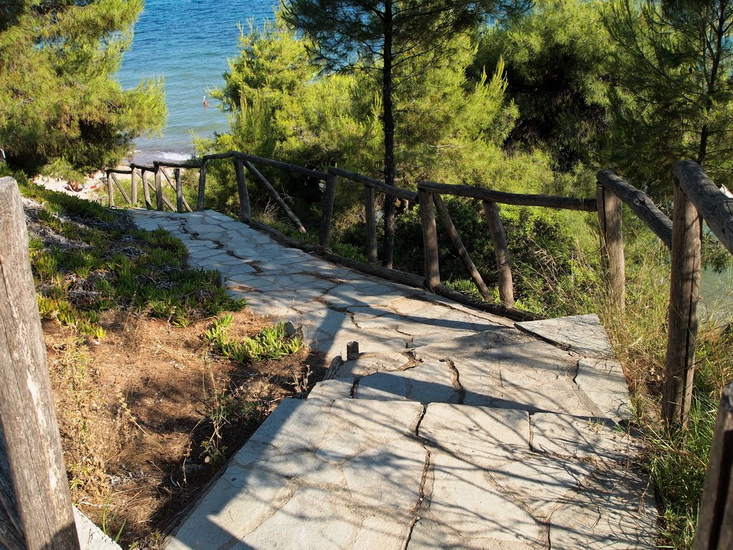  Metamorfosi, Sitonija 